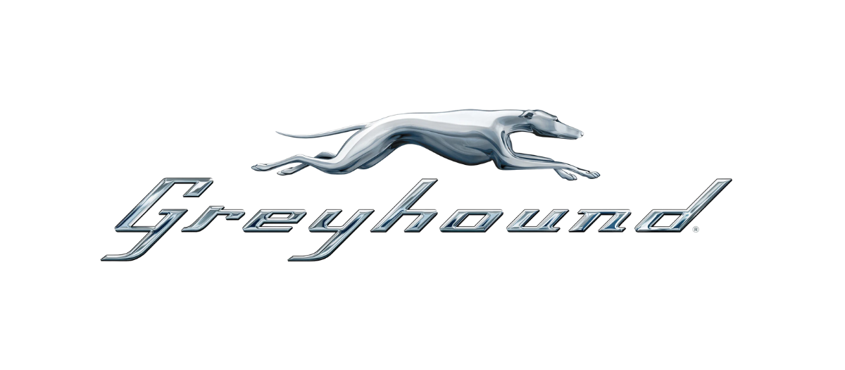 Greyhound